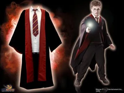 Une robe de sorcier me serait trs utile. J'en trouverai certainement chez : 