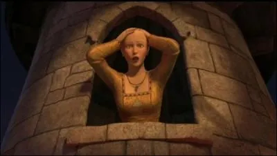 De quelle couleur sont les cheveux de Raiponce ?