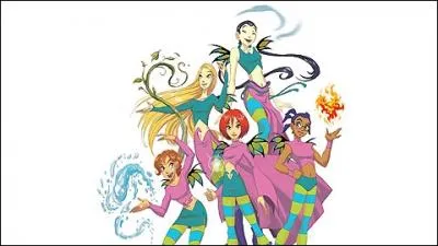 Quels sont leurs pouvoirs ?