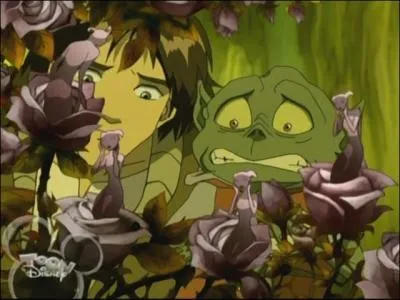 Elles ont principalement deux allis, qui sont-ils ?