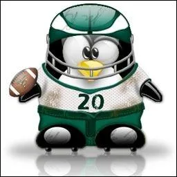 Quel sport pratique ce tux ?