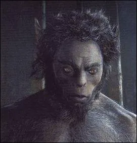 De quelle crature s'agit-il ?