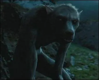 De quelle crature s'agit-il ?