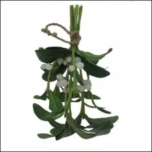 Selon Luna Lovegood, quelles cratures hantent les branches de gui ?