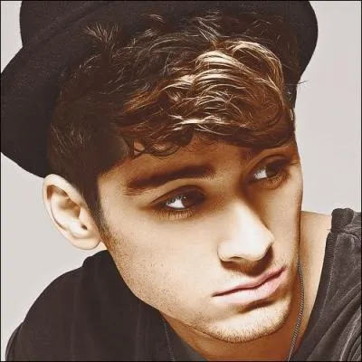 La petite amie de Zayn est ...