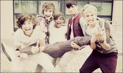 Aprs la finale de X Factor, Simon leur dit qu'ils allaient passer 5 jours  ...