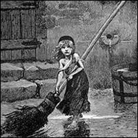 Selon l'illustration, on a ici affaire  un genre de  mousse  qu'on trouve... ?