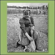 C'est a Apicius, cuisinier de la Rome antique que l'on attribue la premire recette de foie gras. Avec quoi gavait-on les oies  son poque ?