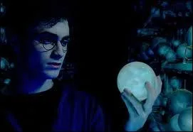 Nous avons aid Harry Potter  sauver son parrain. Nous sommes...