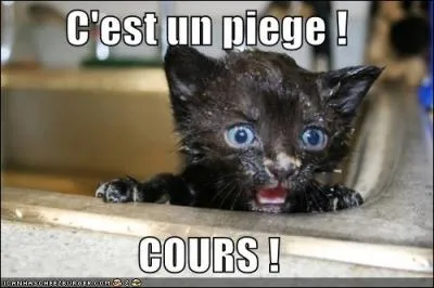 Les oiseaux vont tomber dans un  pige . Quel synonyme allez-vous employer ?