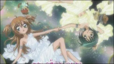 Quel est le nom de cet autre groupe ?