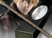 Quiz Ron Weasley