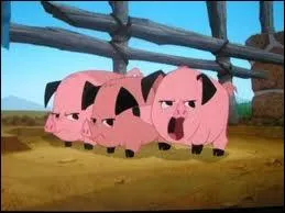 D'o viennent ces cochons ?