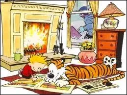 Qui est Calvin dans la bande dessine de Bill Watterson ?