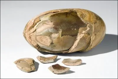 Quel est cet objet ?