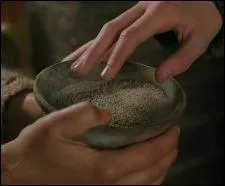 Quel est cet objet ?