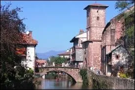 Je termine par la ville de Saint-Jean-Pied-de-Port o les habitants rpondent au nom de ...