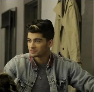 Quelles sont les phrases favorites de Zayn ?
