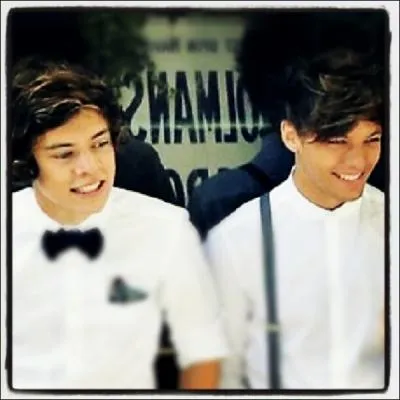 Comment appelle-t-on la bromance Harry et Louis ?