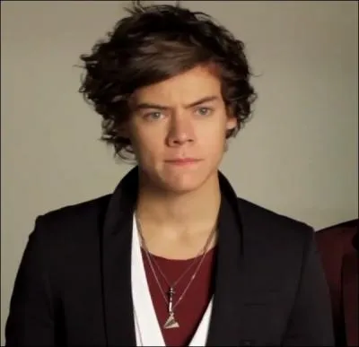 Quel est le groupe prfr de Harry ?