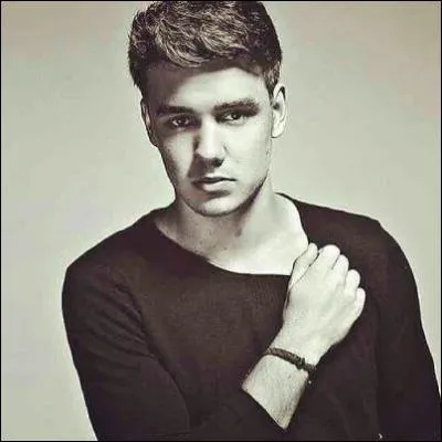 Quelle chanson Liam a-t-il chante lors de son audition  X Factor ?