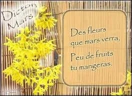 Dicton de mars : S'il fait beau  la Saint Joseph ... .