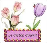 Retrouvez ce dicton d'avril :