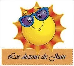 Juin : Bls fleuris  la Saint-Barnab ...