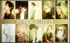 Qui est le maknae de Super Junior ?
