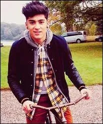 Dans X-Factor, quel tait le numro de Zayn ?