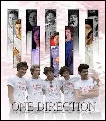 Comment s'appelle leur nouveau single qui sort le 16 novembre 2012 ?