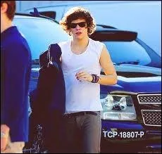 Harry a un nouveau tatouage d'oiseaux. Que reprsente-t-il d'aprs lui ?
