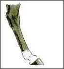 Quelle est cette marque ?