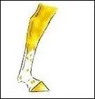 Quelle est cette marque ?