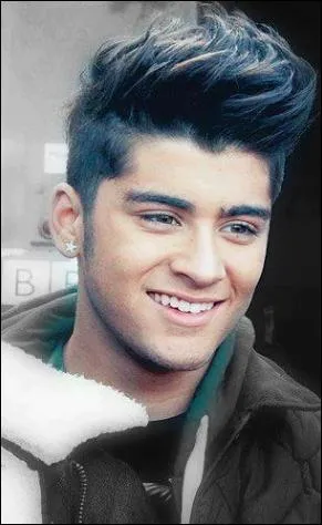 Combien de soeurs a Zayn ?