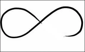 Comment appelle-t-on les fans des One Direction ?