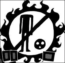  qui appartient ce drapeau ?