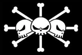  qui appartient ce drapeau ?