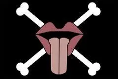  qui appartient ce drapeau ?