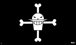  qui appartient ce drapeau ?