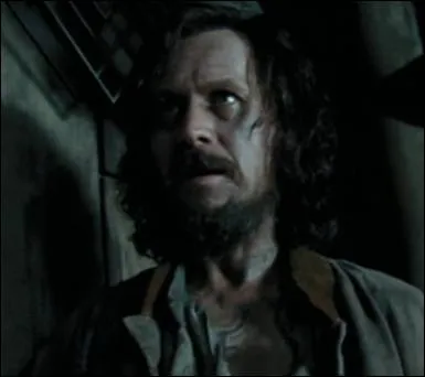 Qui aide Sirius Black  entrer dans l'cole ?