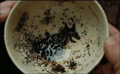 Au cours de divination, qui  traduit  en premier la tasse de Harry ?