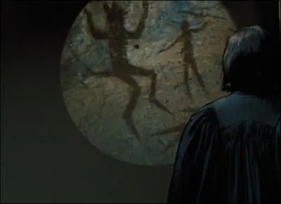 Qu'est-ce qu'un Animagus ?