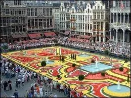 Allez, on termine ce quiz, je suis un peu trop ''babelaire'' .