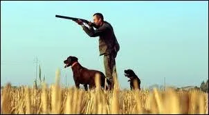 Chérie, tu ne trouves pas que ''ça chasse sous la porte'' ?