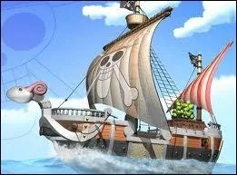 Dans le manga  One Piece , quel est le nom du premier bateau de l'quipage de Chapeau de Paille ?
