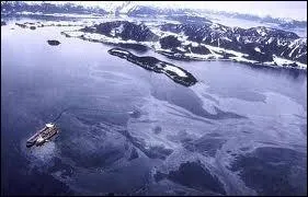 Quel est le nom du ptrolier responsable d'une importante mare noire en Alaska en 1989 ?