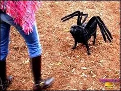 Ce gentil toutou est lui aussi dguis, mais en quoi ?