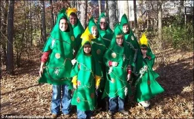 Quel arbre dcore-t-on pour les ftes de Noel ?