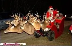 Dans la tradition combien de rennes a le Pre Noel ?